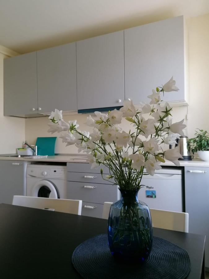 Apartment Anna Saldus Εξωτερικό φωτογραφία